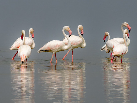Africa Safari Classics-内罗毕必去景点