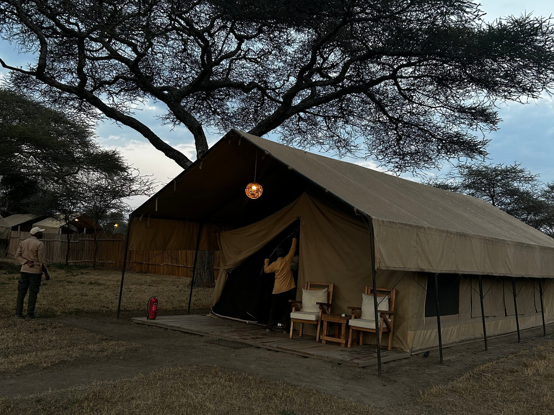 Africa Safari South Serengeti主图