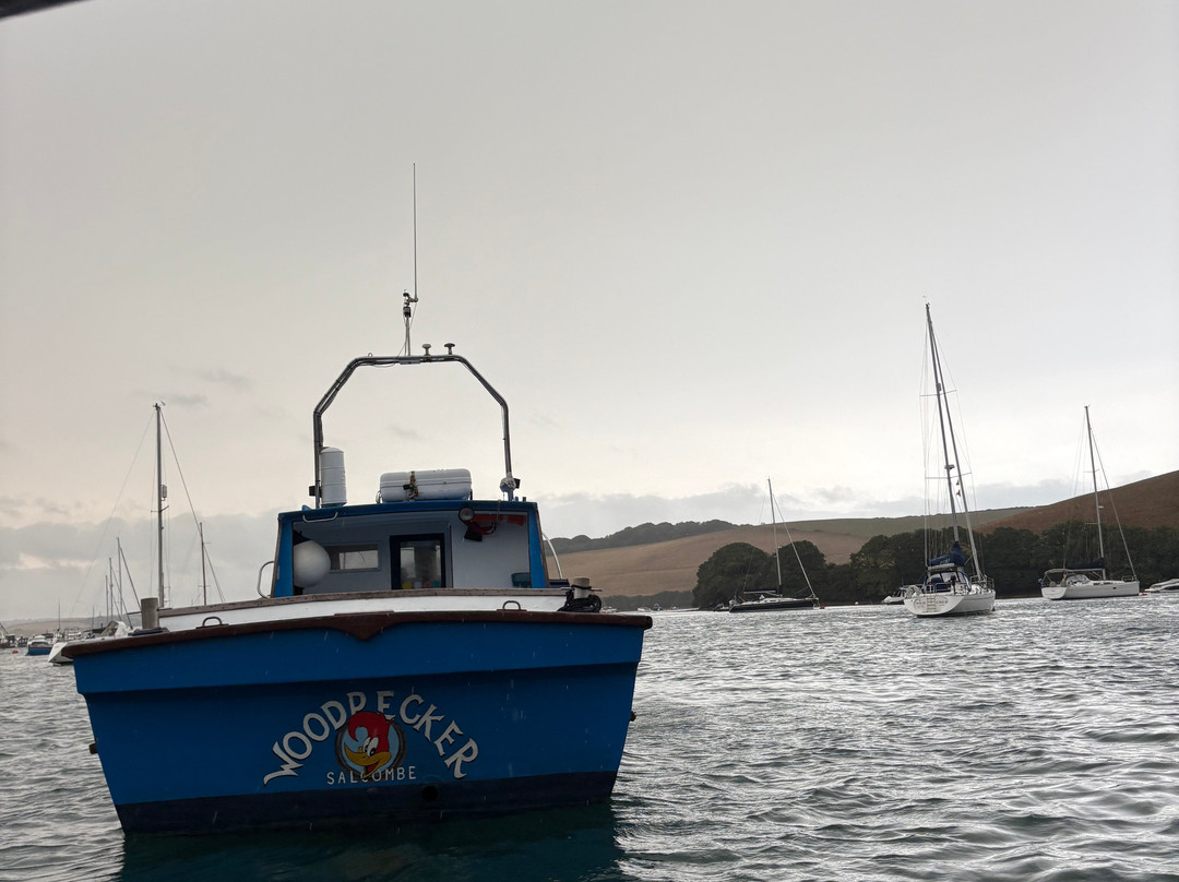 Salcombe Cruises-Salcombe必去景点