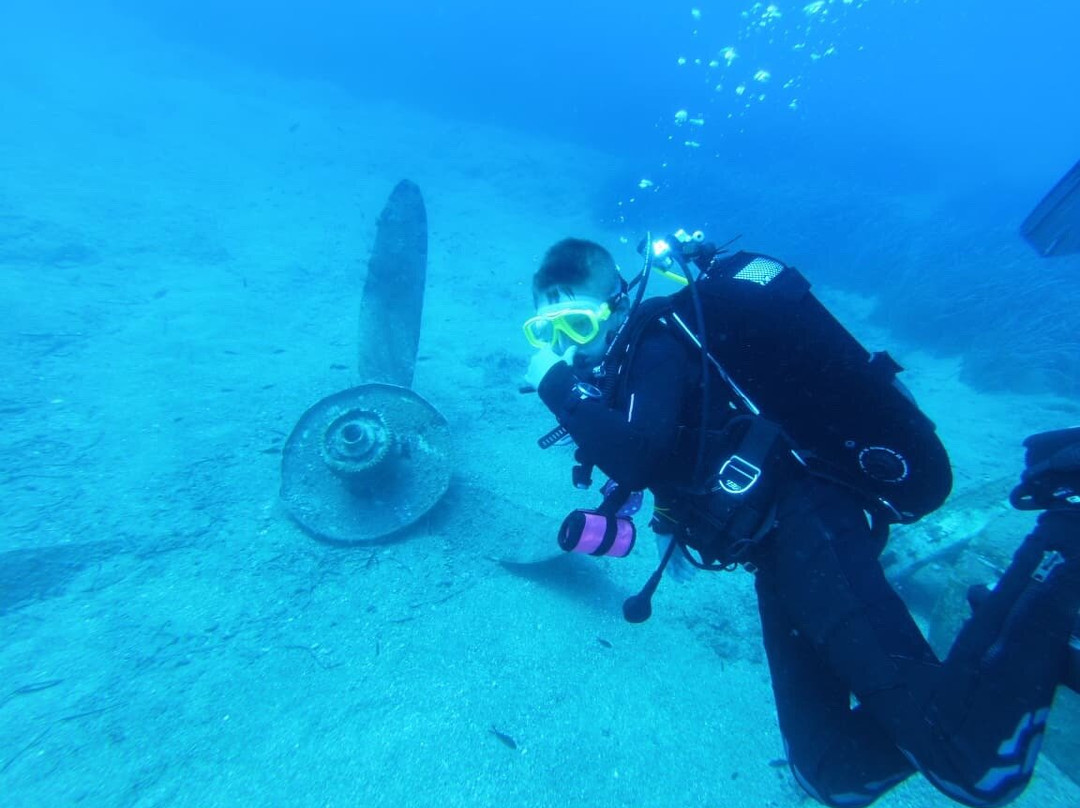 Coral Diving Crete-Anissaras必去景点