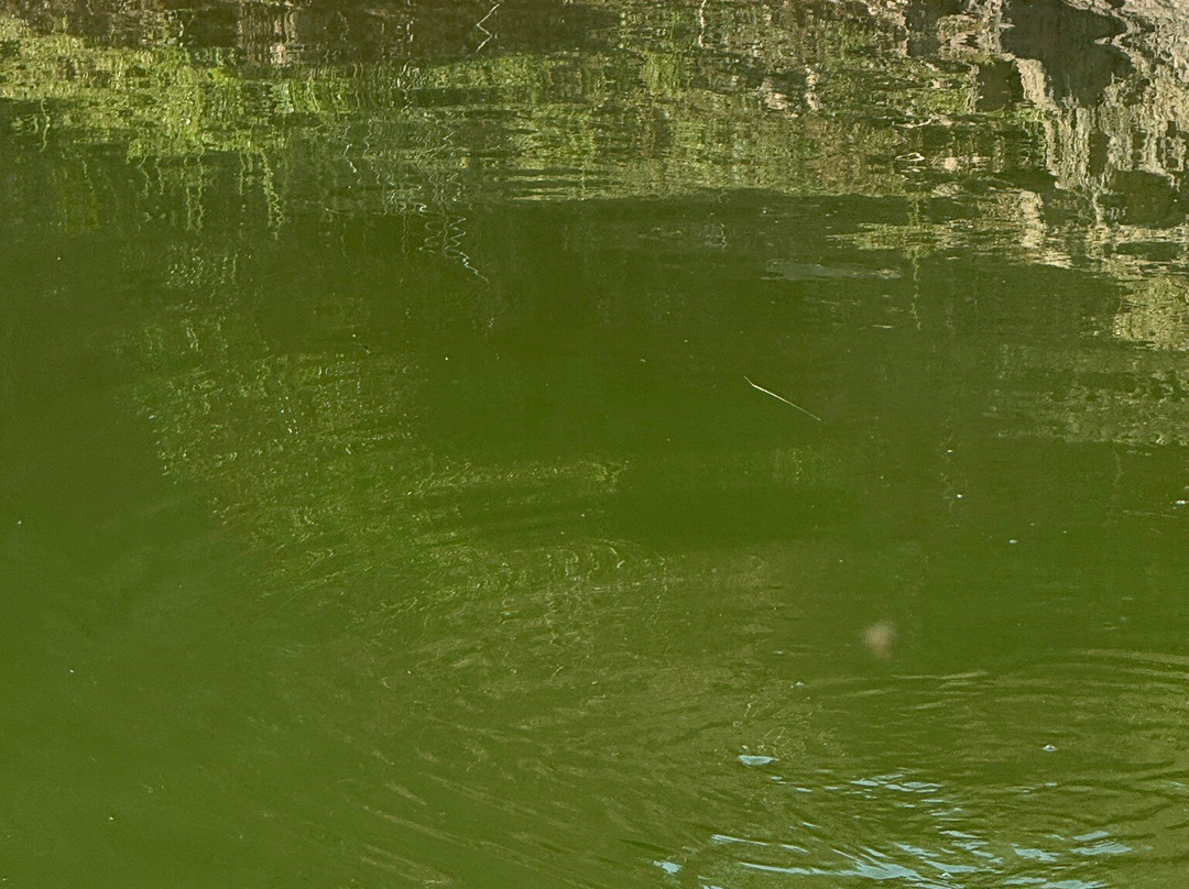 Alquevatours-Moura必去景点