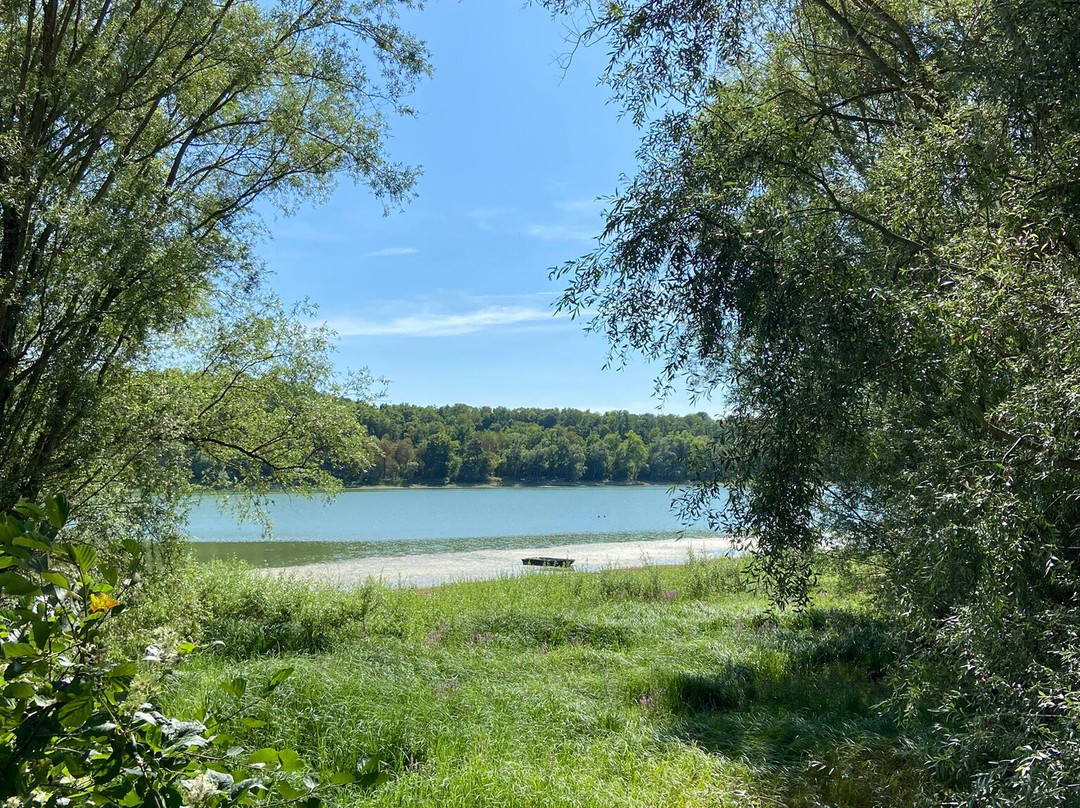 Lac De Charmes-Charmes必去景点