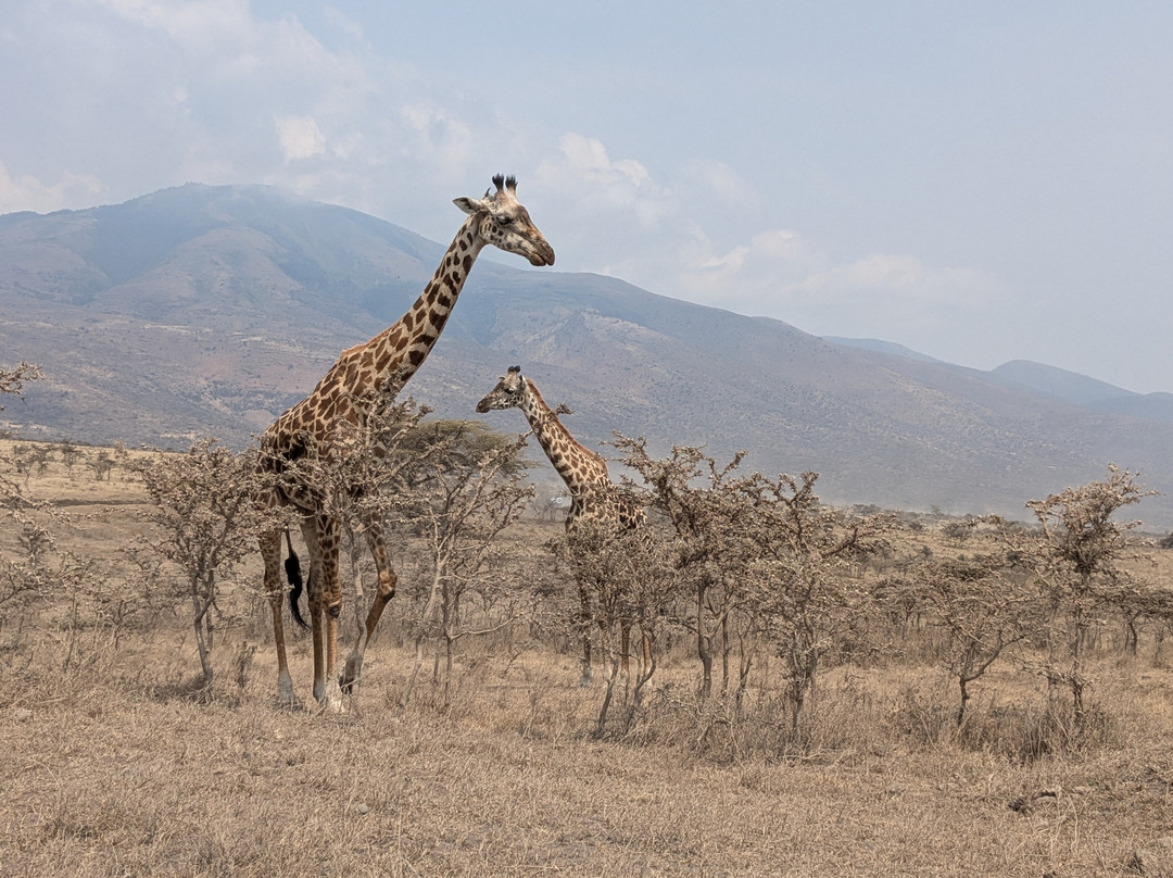 Tumbili-莫西必去景点