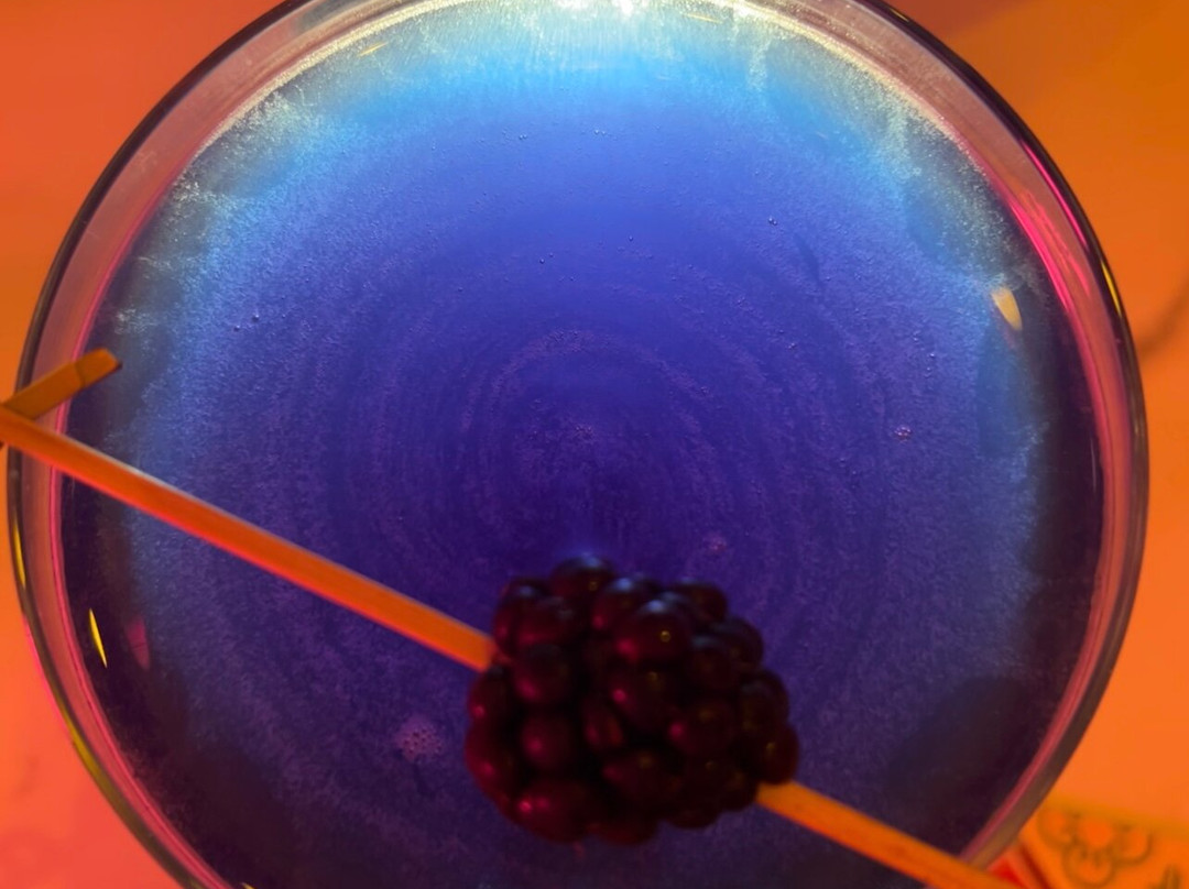 The Birdcage Alnwick