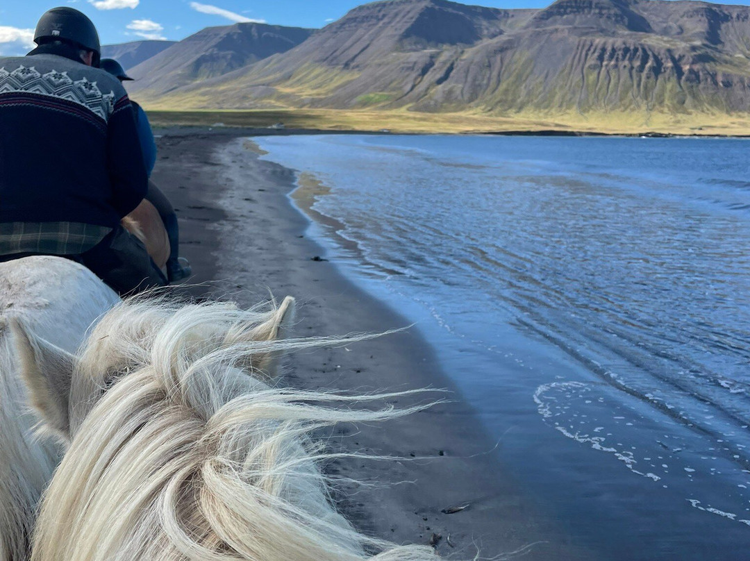 Langhús Farm-Skagafjordur必去景点