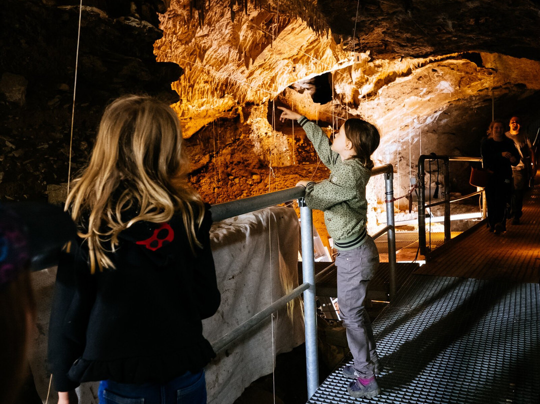 Grotte Scladina (Centre archéologique)-Andenne必去景点