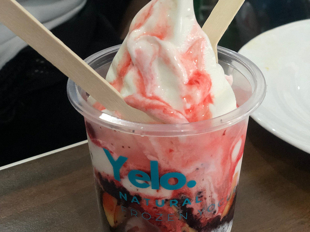 Lion Dive Centre-莫阿尔博阿尔必去景点