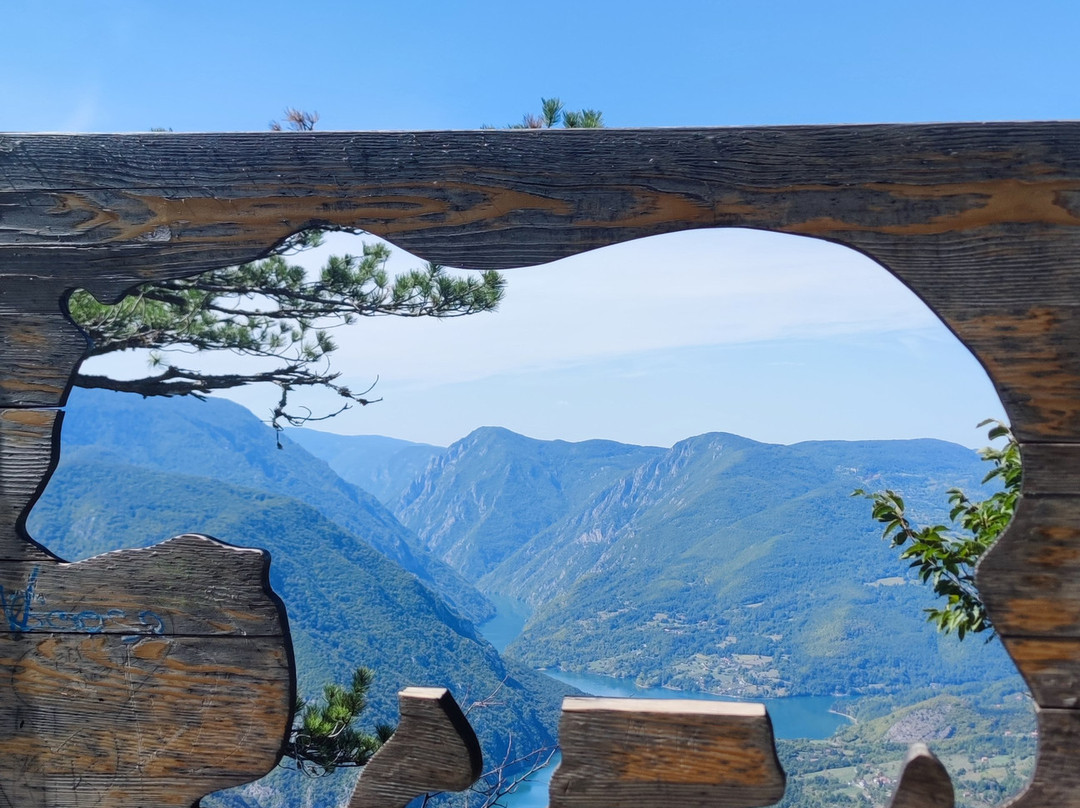 Tara National Park-Tara National Park必去景点