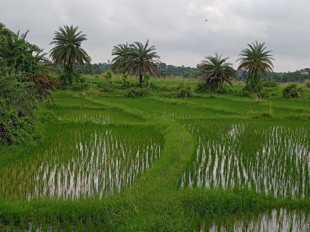 Ram Shyam Village Resort主图