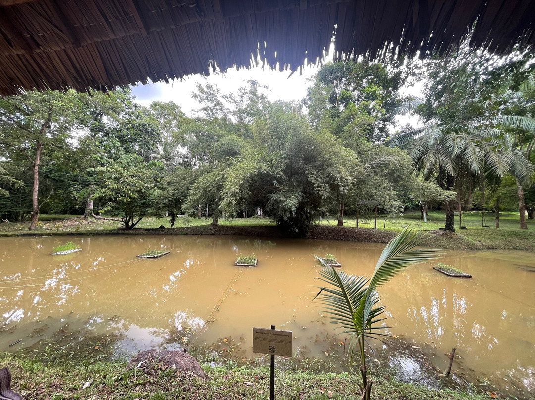 Langkawi Cooking School at Buluh & Tebing Organic Farm-Ayer Hangat必去景点