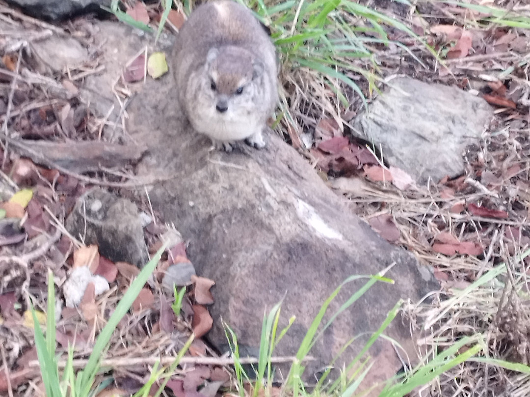 Ikoma Wild Camp主图