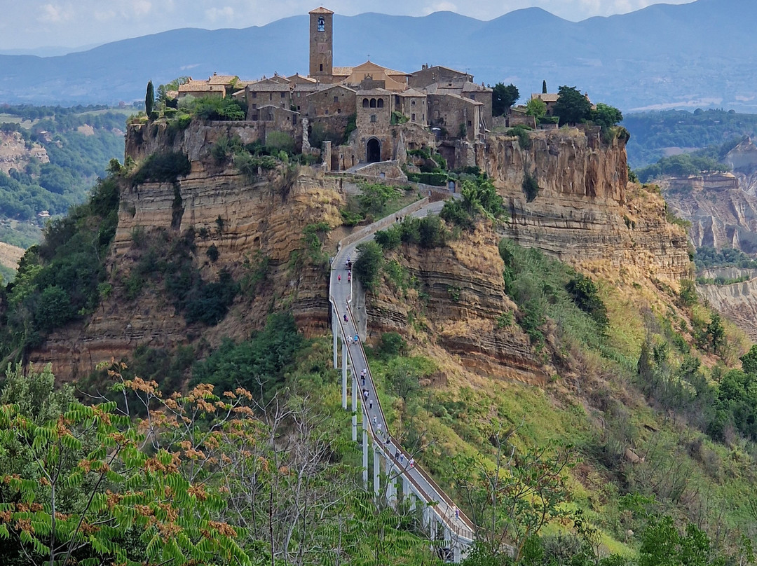 Agriturismo Le Ginestre主图