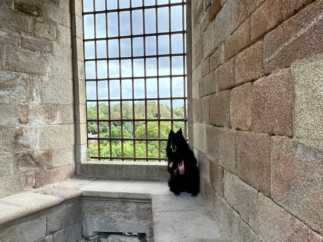 Chateau de Clisson-Clisson必去景点