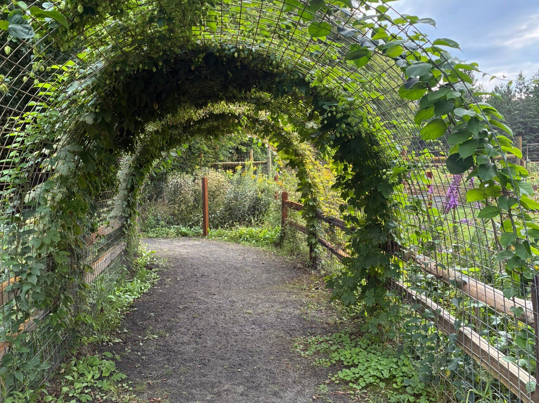 Northland Arboretum-Brainerd必去景点