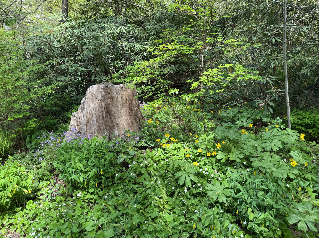 Mt. Cuba Center-Hockessin必去景点