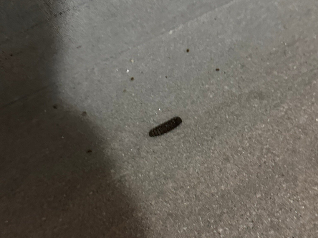 Palazzo Sciacca主图