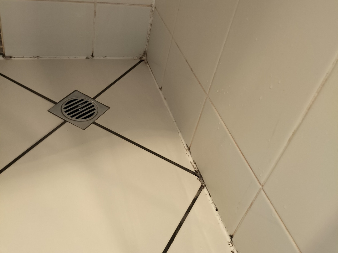 Robinvale Bridge Motel主图