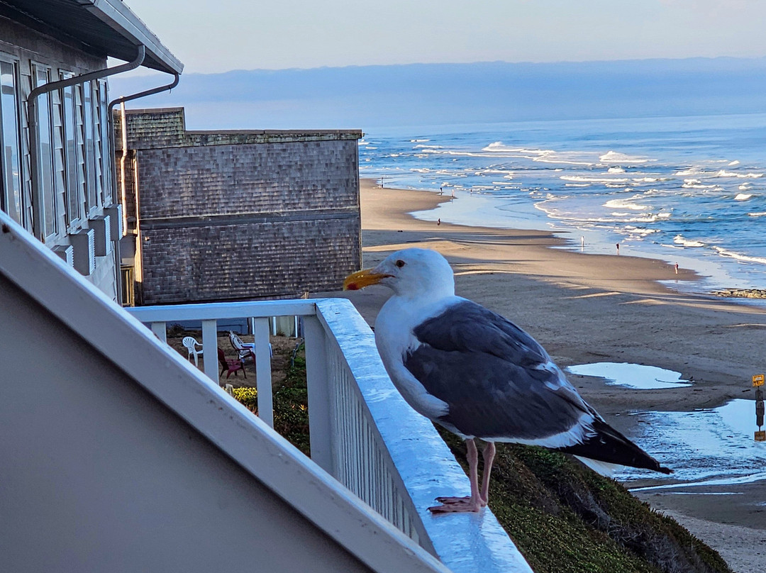 The Coho Oceanfront Lodge主图