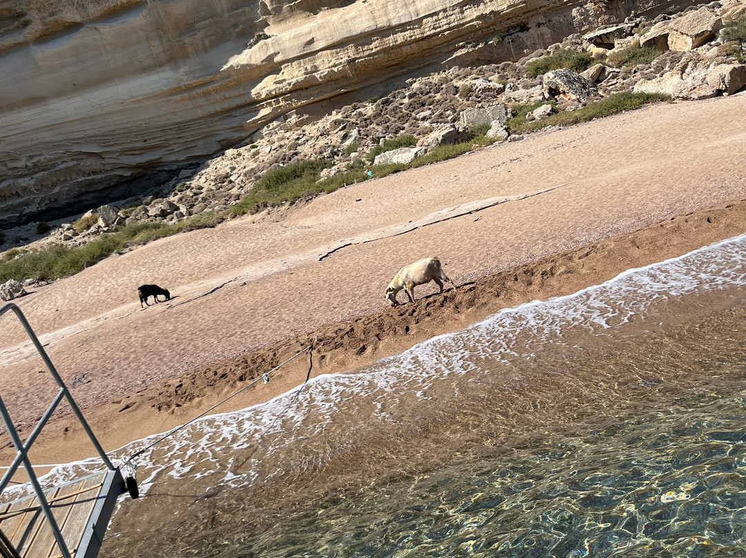 Kolymbia Express-科林比亚必去景点