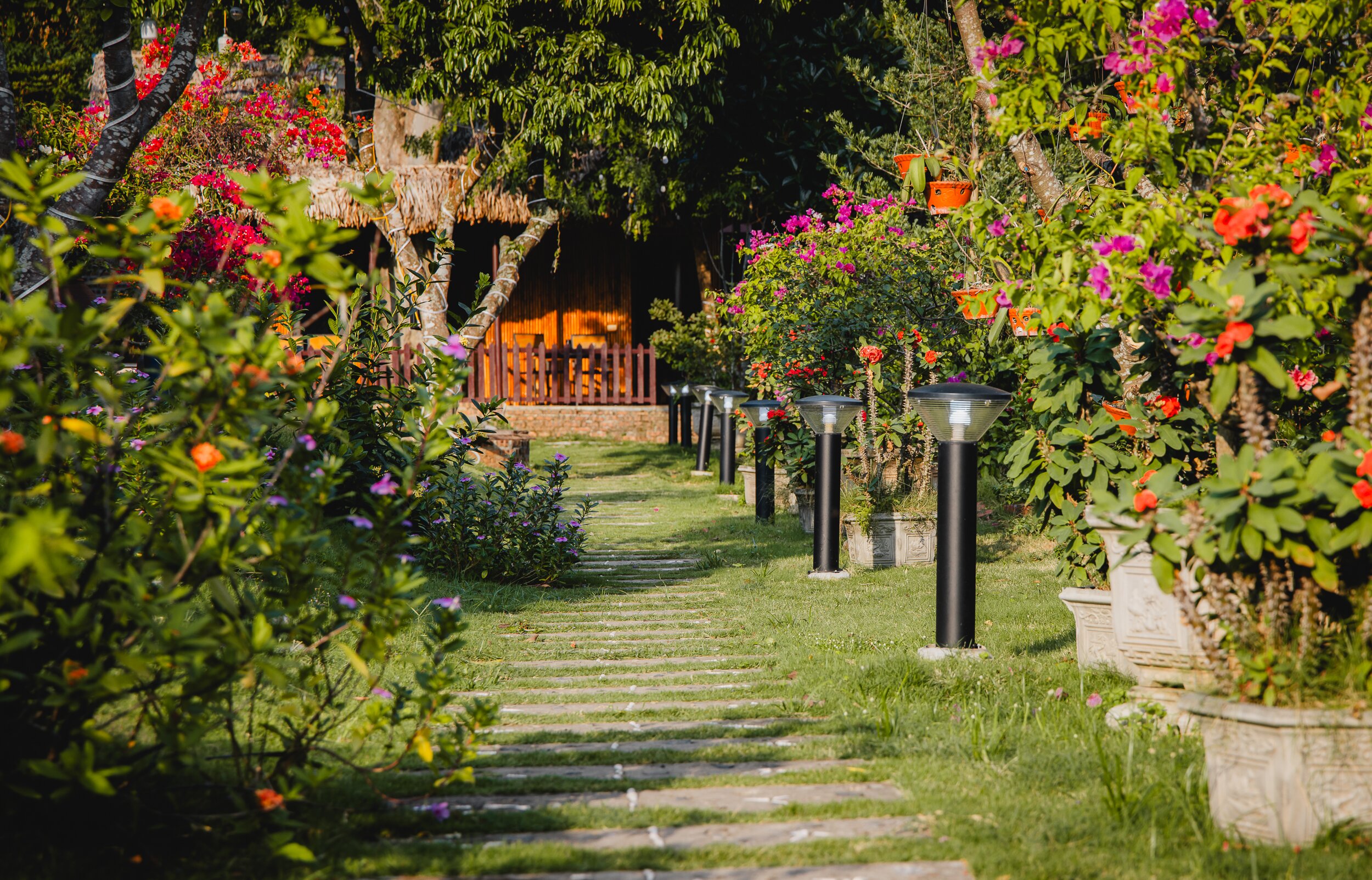 Green Homestay-酒店景观