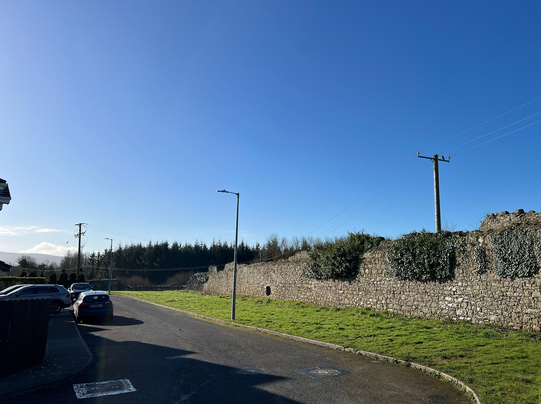 Kilmallock Medieval Tours-Kilmallock必去景点