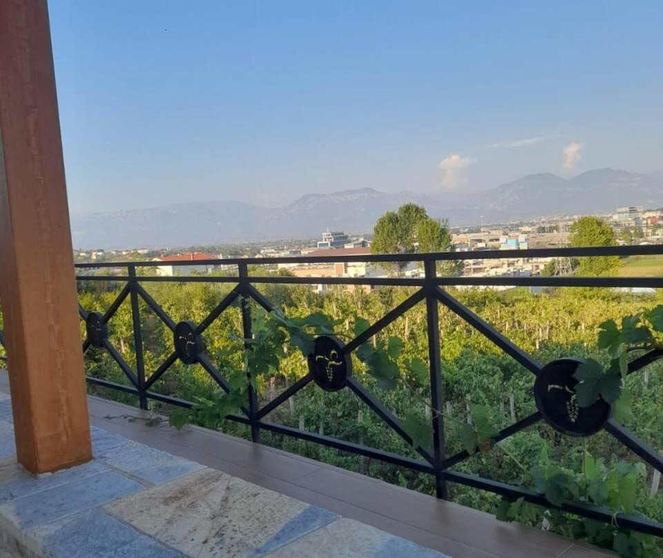 Vila Shehi Guesthouse and Winery