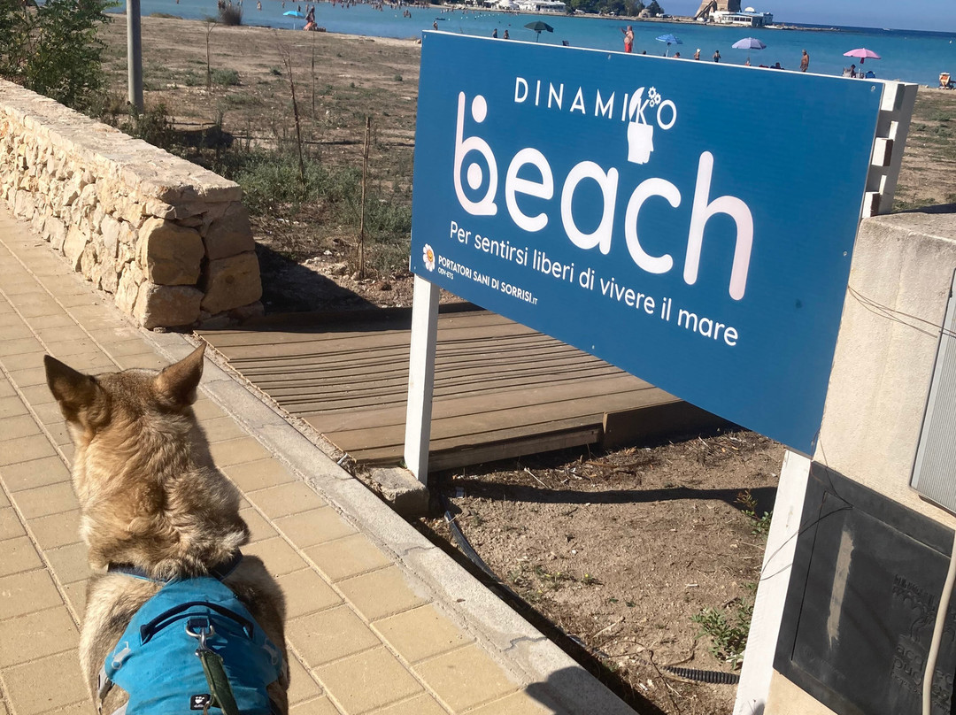 Spiaggia di SantIsidoro-Sant'Isidoro必去景点