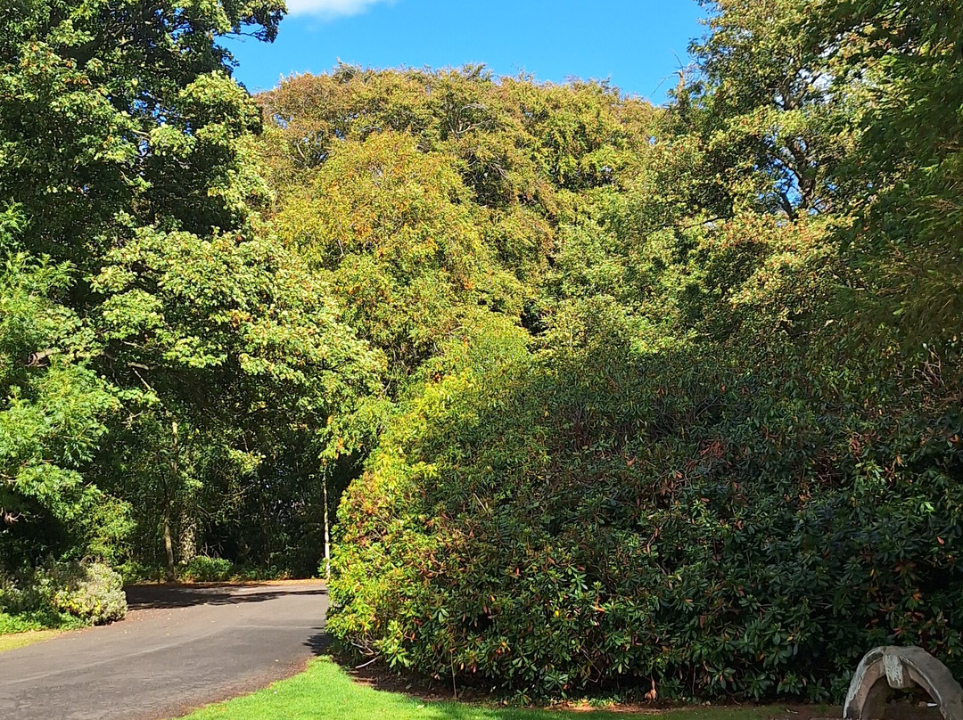 Backworth Hall-Backworth必去景点