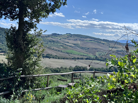 The Tuscan Wanderer-卢卡必去景点