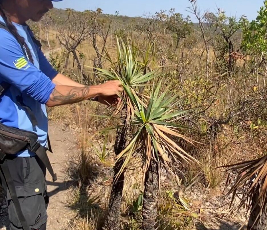 Catarata dos Couros-上帕拉伊苏迪戈亚斯必去景点