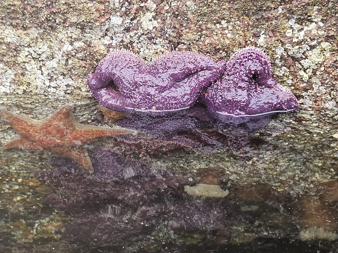 Pedals & Paddles Adventure Sports-Sechelt必去景点