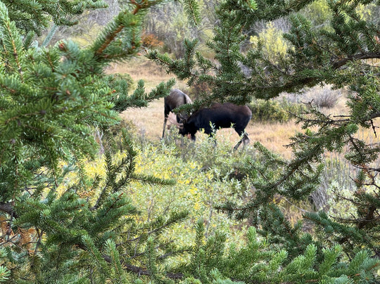 RIO EPIC Outfitters-杜兰戈必去景点