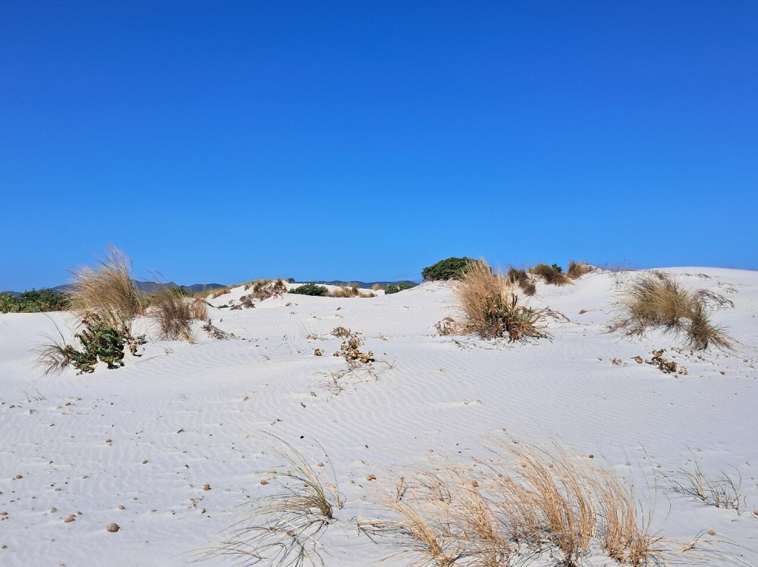 Spiaggia Is Arenas Biancas-Teulada必去景点