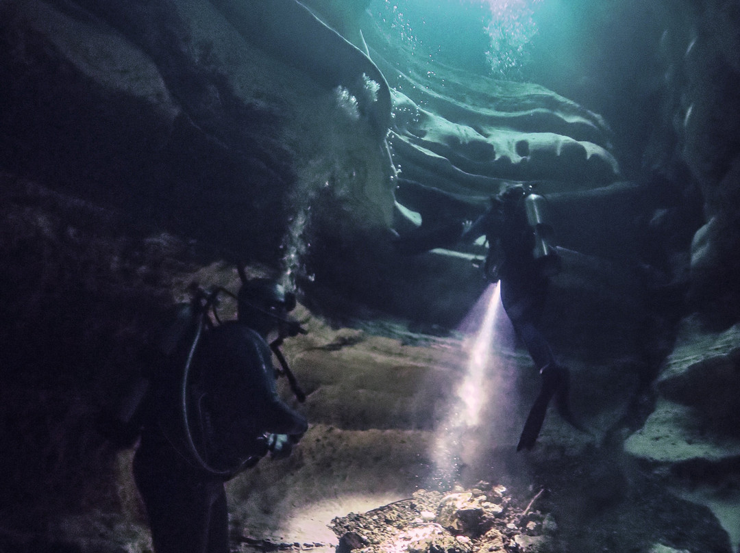 Florida Dive Company-橙县必去景点