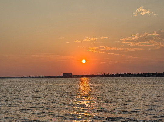 Surf's Up Dolphin Cruises-橙色海湾必去景点
