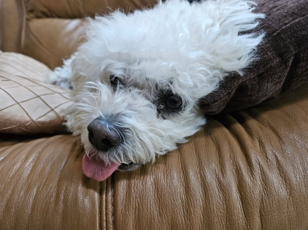 AuSable Valley Inn主图