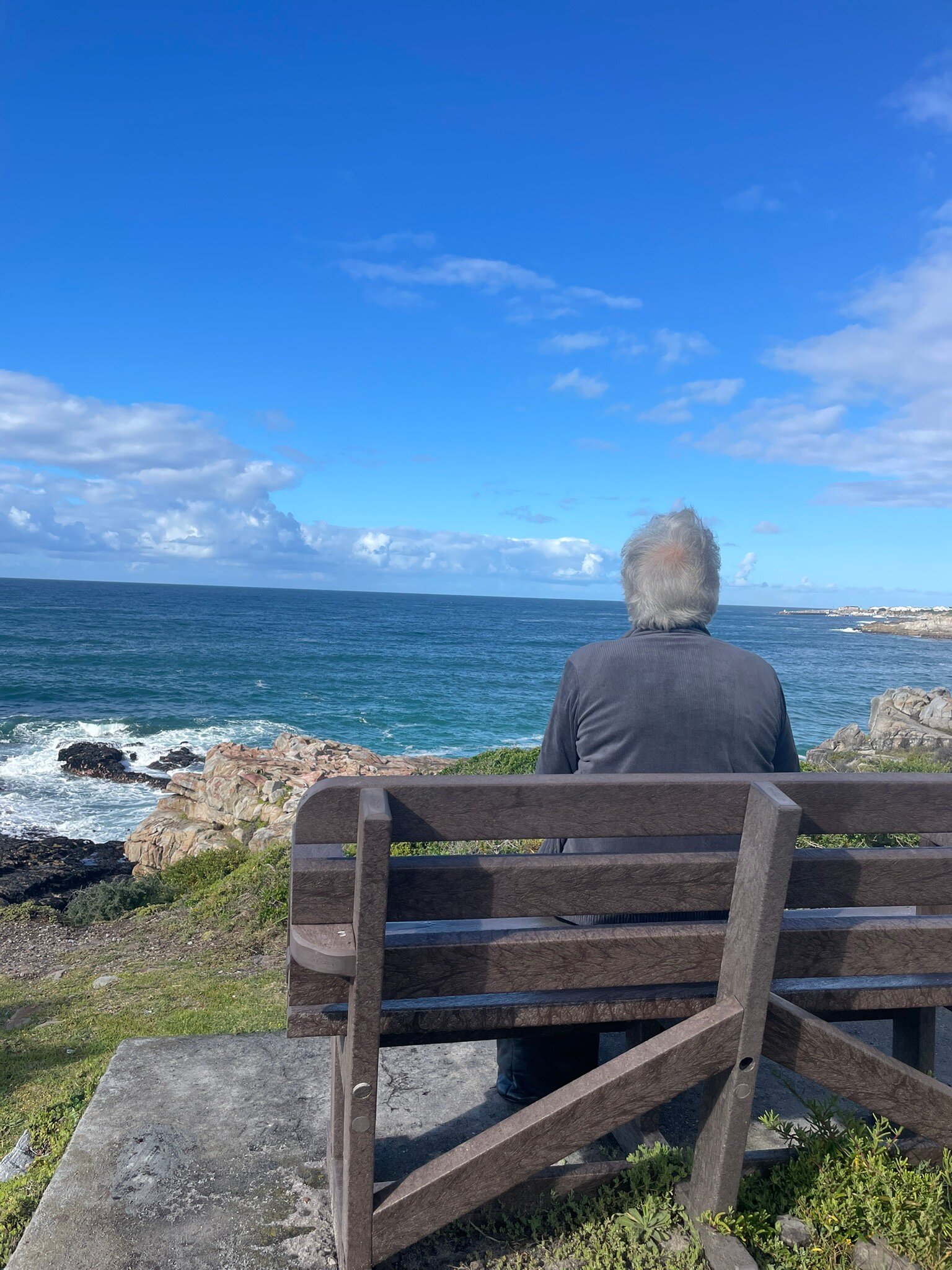 Windsor Hotel & Apartments-官方