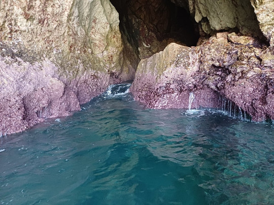 Salty Gecko Boat Tours-塞新布拉必去景点