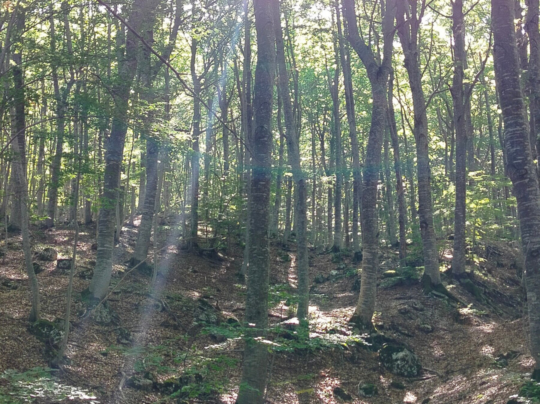 Riserva Naturale Lama Bianca-Roccacaramanico必去景点