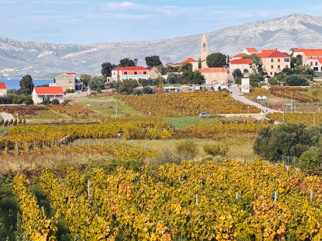 Popic Winery Lumbarda-伦巴达必去景点