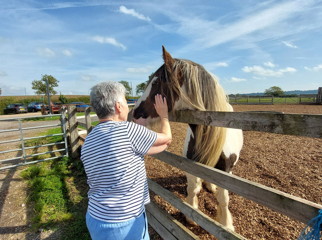 Redwings Horse Sanctuary-Oxhill必去景点