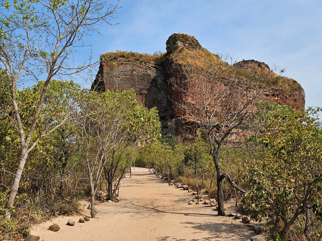 Jalapão Gaviões do Cerrado-Ponte Alta do Tocantins必去景点