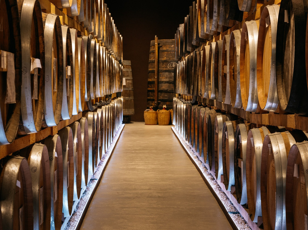 Armagnac Veuve Goudoulin-Courrensan必去景点