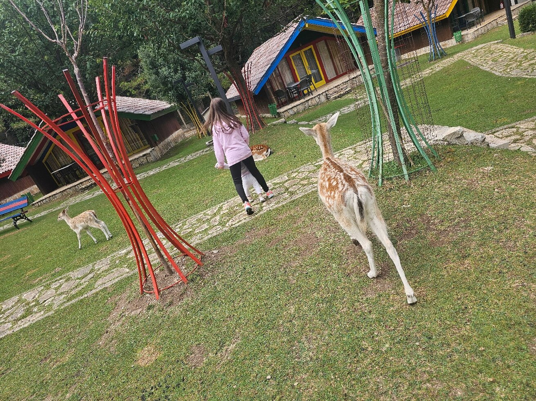 Llogora Tourist Village主图