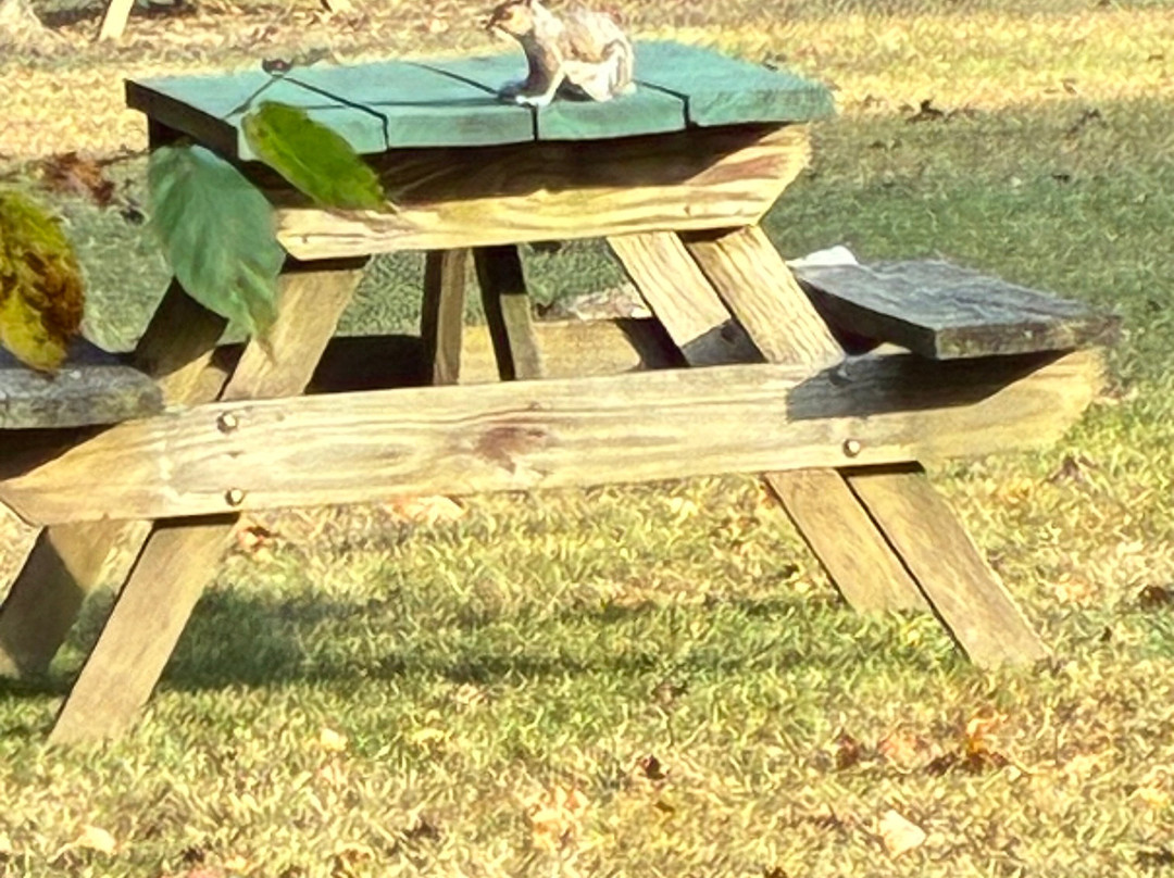 Paddler's Lane Retreat主图