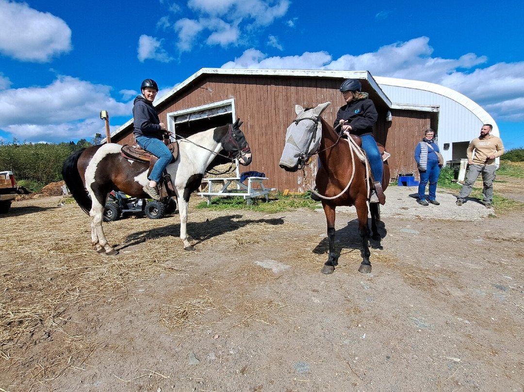Les Écuries Entre Monts Et Marées
