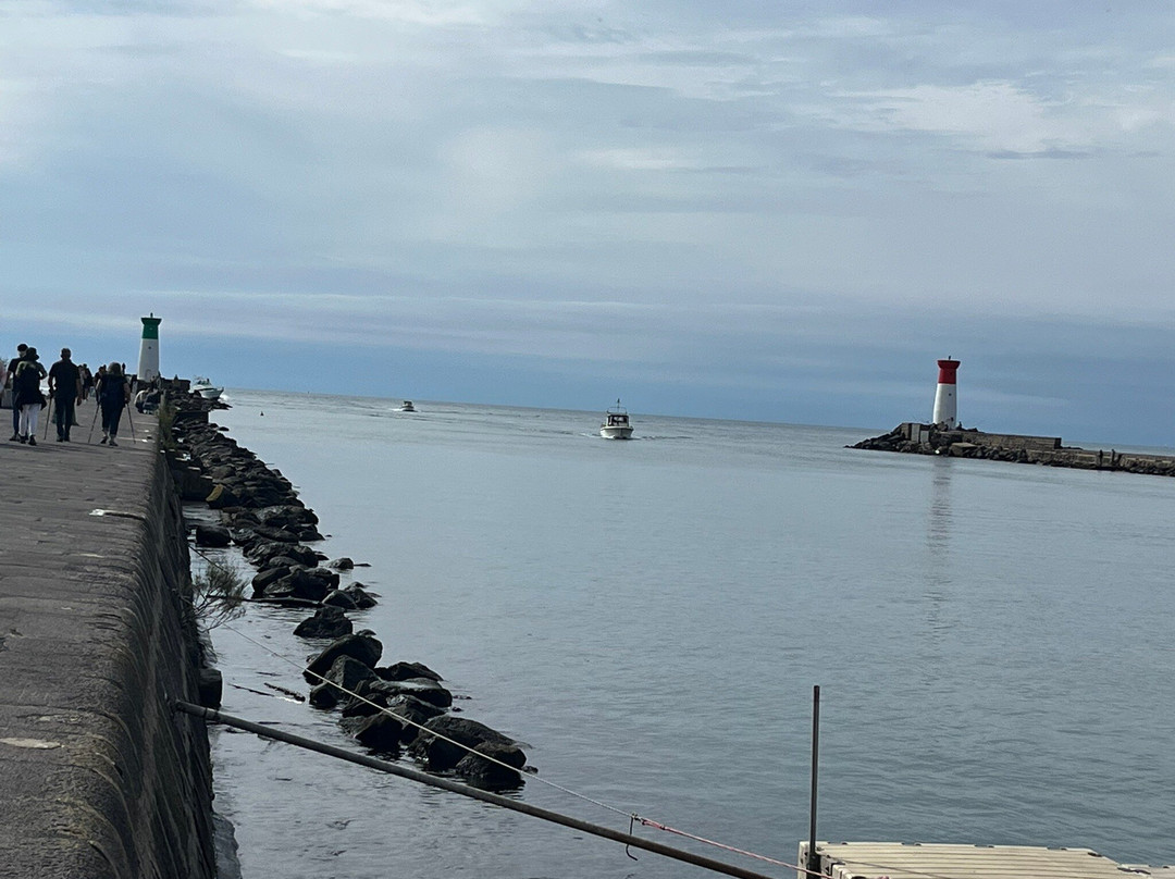 Passeur Mimi-Le Grau d'Agde必去景点