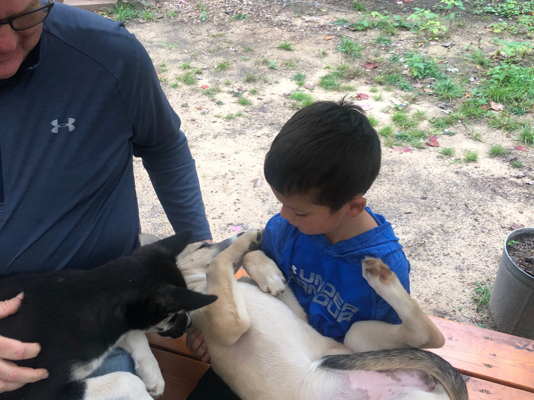 MIDOG - Michigan's Summer Sled Dog Center-Newberry必去景点