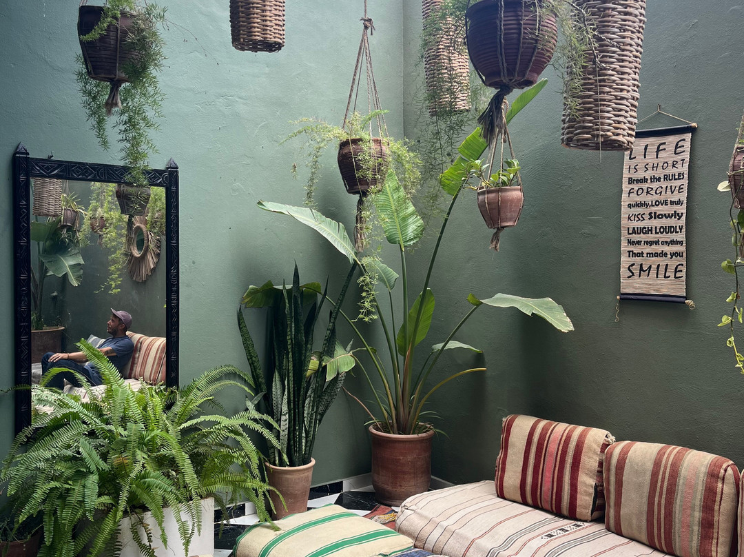 Surf Soul Adventure-Tamraght必去景点