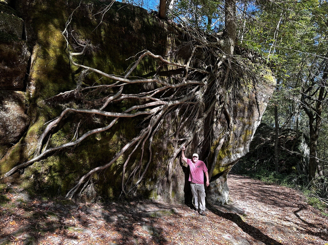 Panama Rocks Scenic Park-Panama必去景点